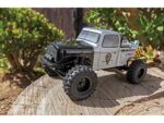 Element RC - AE20183 Enduro24 Ecto RTR 